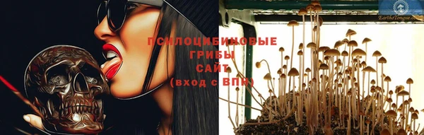 тгк Майский