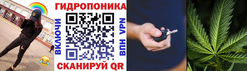 Купить  Снежногорск  Канабис план 